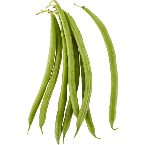 Green Beans - 1 1/9 Bushel (Ontario) - Stocked Cases