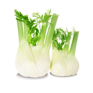 Fresh Andy Boy Fennel (Anise) - 18 Count (Usa) - Stocked Cases