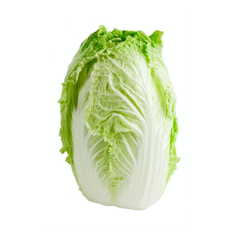 Nappa Cabbage - 50Lb (Quebec) - Stocked Cases