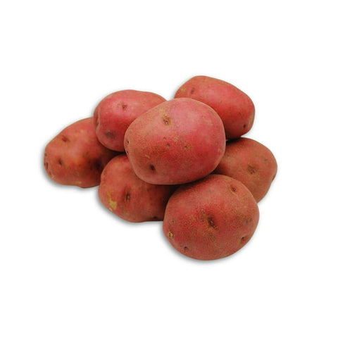 Red "C" Potatoes - 50Lb (Ontario)