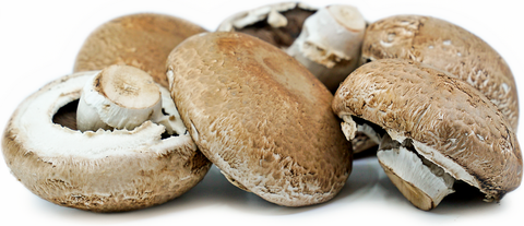 Select Portabella Mushrooms - 5LBS (Ontario)