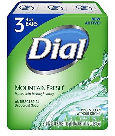 Dial Bar Soap Mountain Fresh - 9 Packs, 8 X 113G Each - Stocked Cases