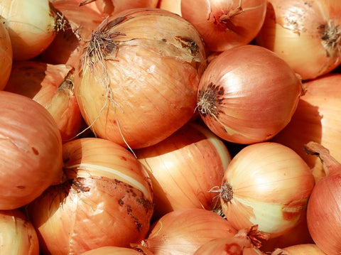 Large Cooking Onions - 10LBS (Ontario)