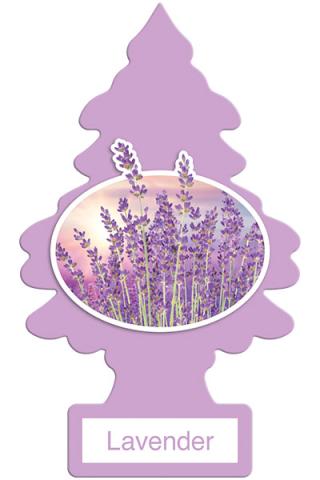 Little Tree Air Freshener Lavender (144 Pack)