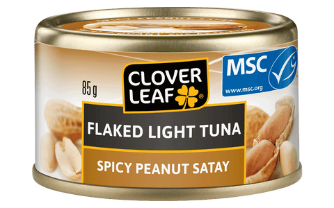 Cloverleaf Flaked Light Tuna Spicy Peanut Satay (24 X 85G) - Stocked Cases