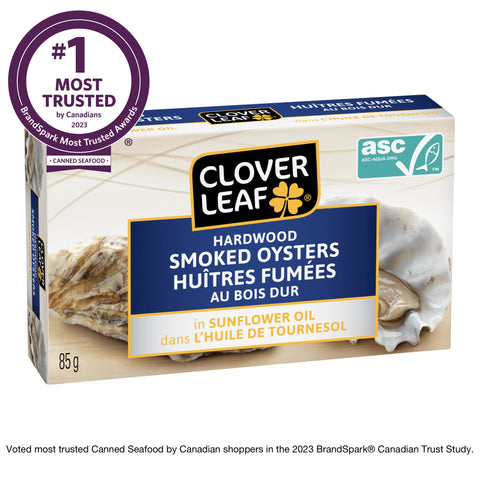 Clover Leaf Smoked Oysters - 24 Pack - Stocked Cases